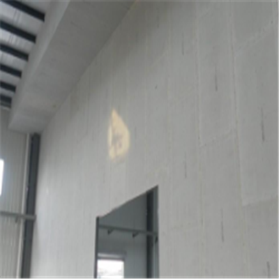 安塞新型建筑材料掺多种工业废渣的ALC|ACC|FPS模块板材轻质隔墙板